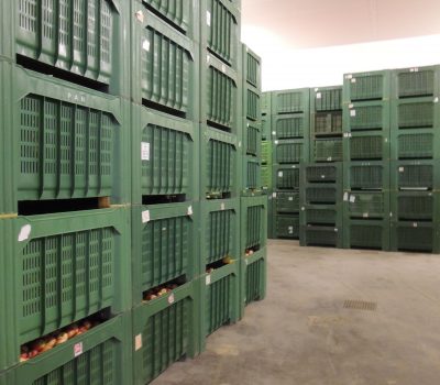 Cella frigo - bins mele