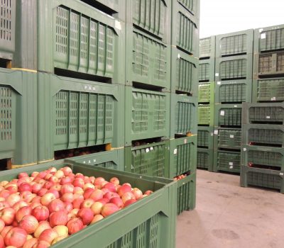 Bins di mele